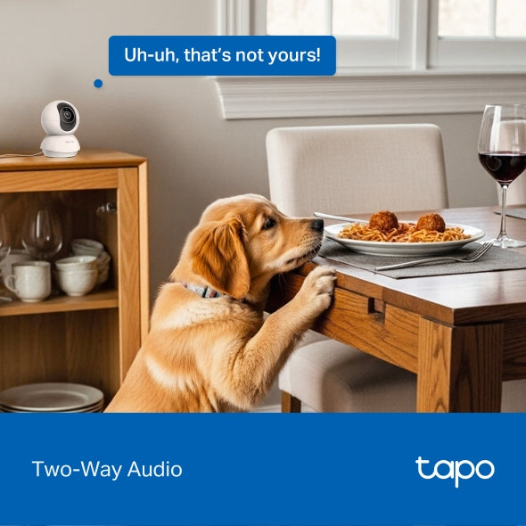 Tapo C250 - 4K 8MP 旋轉式 Wi-Fi 攝影機 Pan/Tilt Security Wi-Fi Camera (4K / 2160 P)