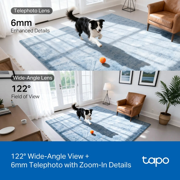 Tapo C245D - 2K 3MP 雙鏡頭旋轉式家居攝影機 Duo Lens Pan/Tilt Security Wi-Fi Camera