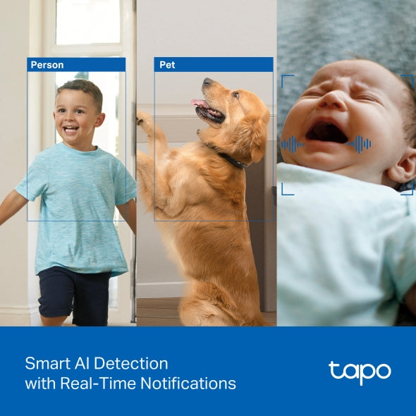 Tapo C250 - 4K 8MP 旋轉式 Wi-Fi 攝影機 Pan/Tilt Security Wi-Fi Camera  (4K / 2160 P) 