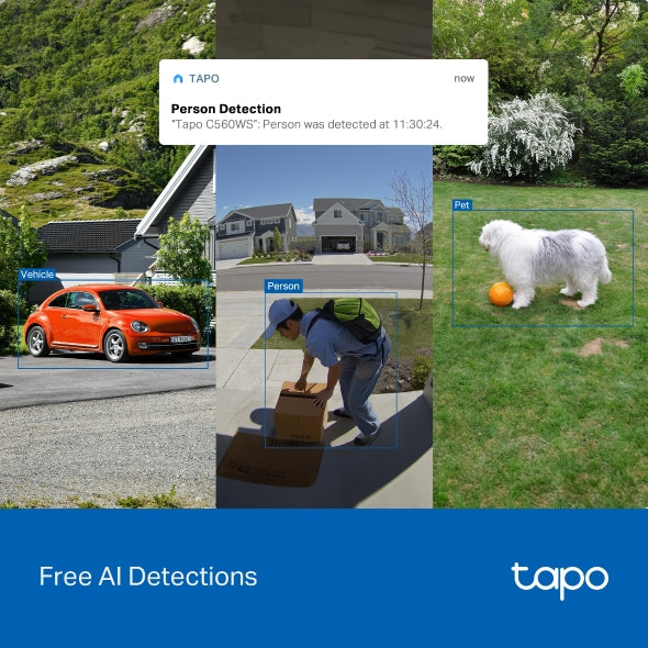 Tapo C560WS - 4K 8MP AI 戶外旋轉式 Wi-Fi 防護攝影機 Pan/Tilt Security Wi-Fi Camera  (精準人臉辨識)(高清全彩夜視)